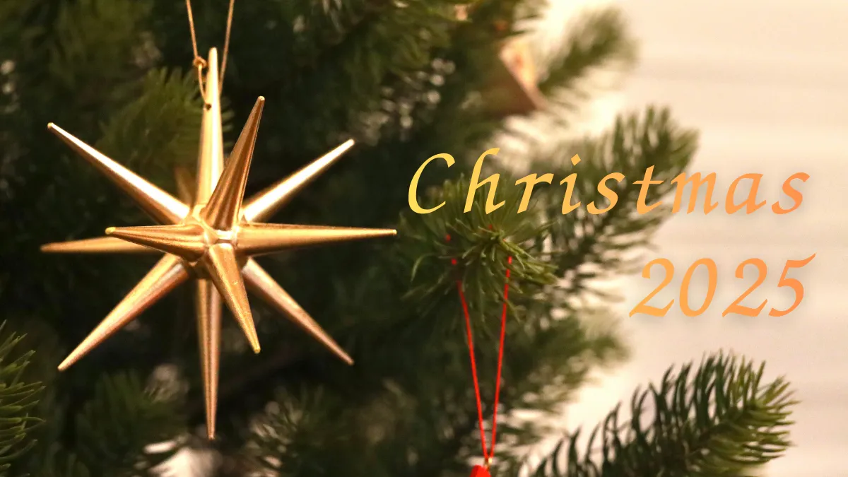 わが家のクリスマス準備!2025年はあのツリーとオーナメントが新居に仲間入り